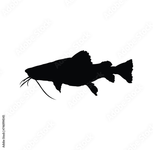 vector design of the silhouette of a predatory fish that has a unique body shape