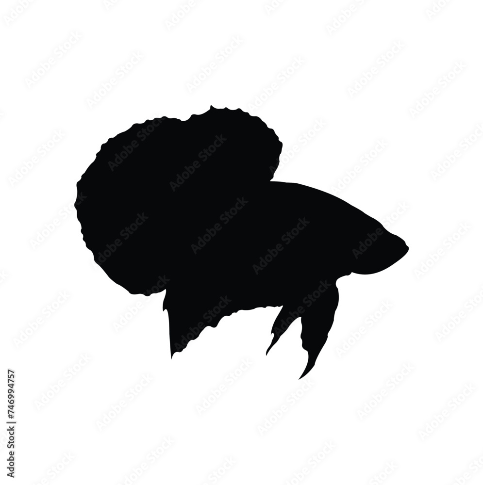 Betta fish silhouette design. Betta fish have a small body shape and have long dorsals, fins and tails.