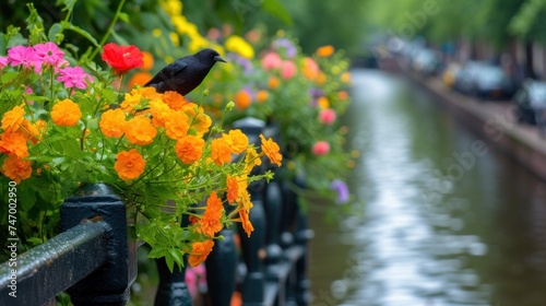 a black bird sitting on a fence next to a bunch of flowers and a body of water in the background. photo