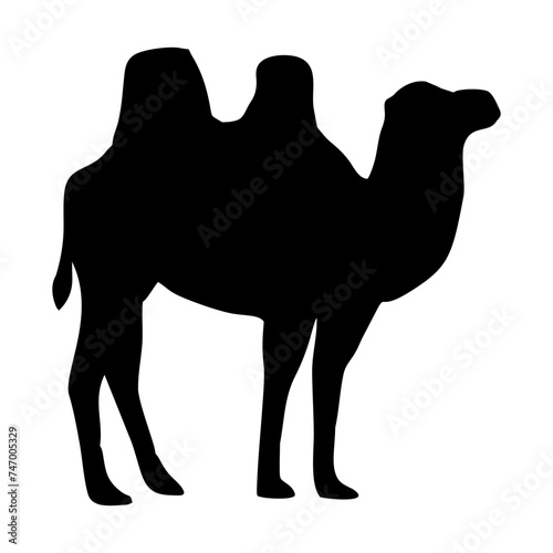 silhouette of a black camel standing