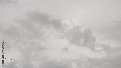 Cranes fly under cloudy clouds photo