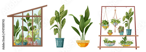 Houseplant and macrame plant growing in pots. Greenhouse, flower rack and macrame plants isolated on white background. Cartoon flat illustration.