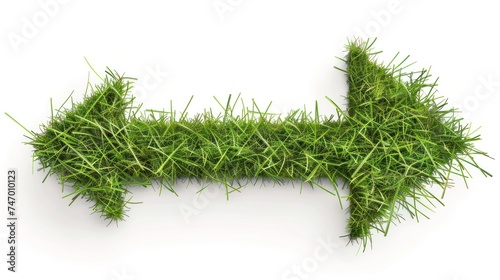 Eco-friendly direction: Green grass arrow icon symbolizing ecological awareness on a white background