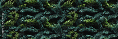 seamless pattern with green branches of pine spruce fir tree on a black background photo