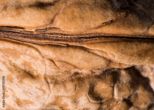 Walnut shell macro, background, texture
