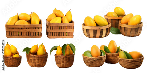 Collection of mango in wooden basket isolated on a white background as transparent PNG