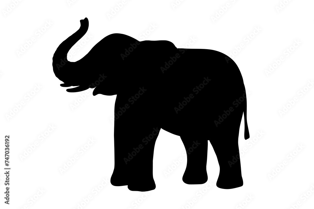 Elephant baby silhouette with trunk up isolated on white background.