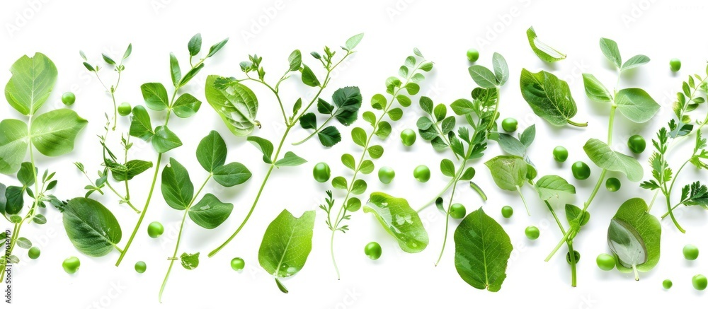 A collection of vibrant green plants, including fresh green peas and lush leaves, displayed against a clean white background. The plants are healthy and vibrant, showcasing natural beauty in a simple