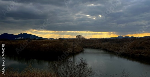               Dalseong swamp  south korea