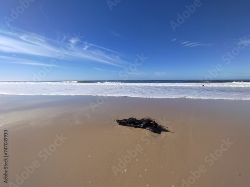 Black plastic sheeting lies on a pristine beach at low tide
