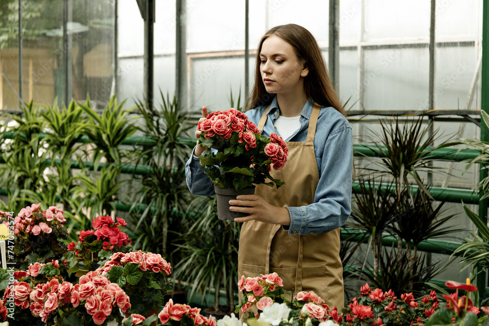 A girl florist takes care of flowers in a green house.