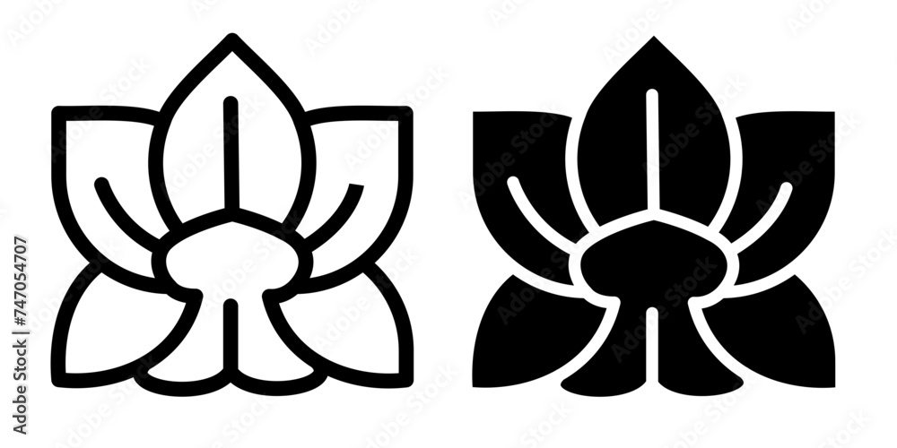Delicate Phalaenopsis Line Icon. Orchid Grace Icon in Outline and Solid Flat Style.