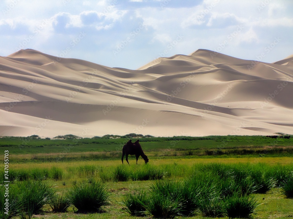 Obraz premium Southern Mongolia