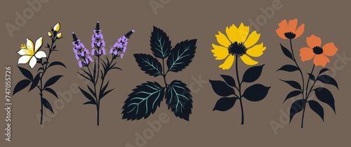 Set of leaves silhouette of beautiful plants, lavander, mint, calendula, jasmine.