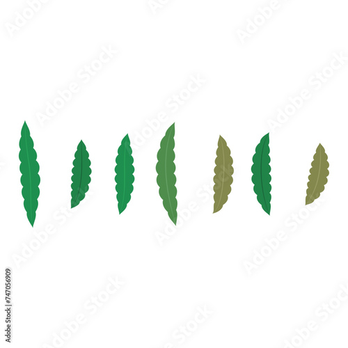 Set of 7 green, brown Leaf simple icon illustration. Cartoon style elements for web or product design.