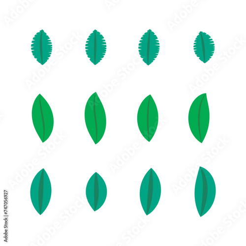 Set of 12 green Leaf simple icon illustration. Cartoon style elements for web or product design.