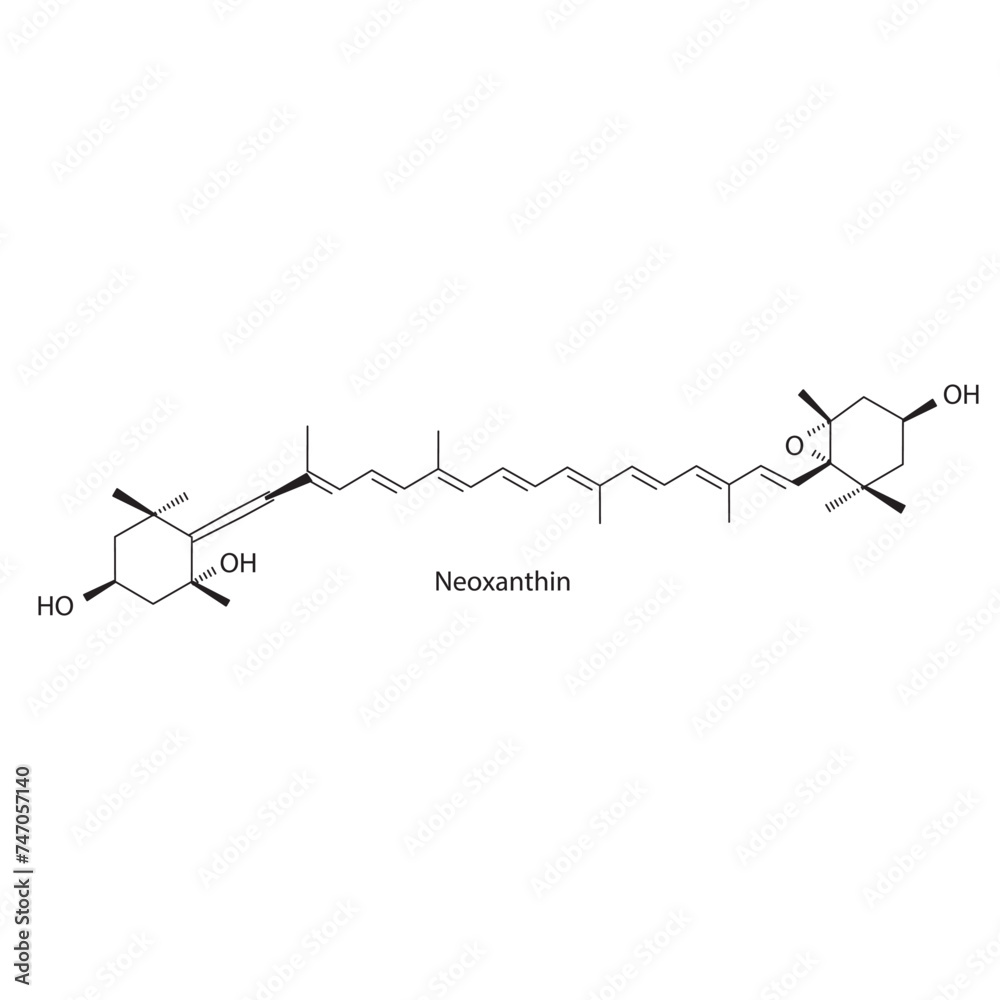 Naklejka premium Neoxanthin skeletal structure diagram.Caratenoid compound molecule scientific illustration on white background.