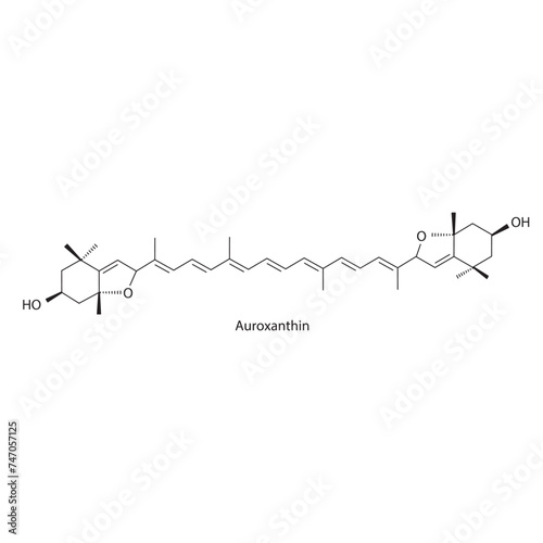 Auroxanthin skeletal structure diagram.Caratenoid compound molecule scientific illustration on white background. photo