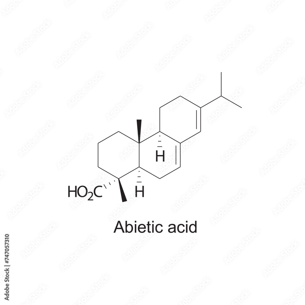 Abietic acid skeletal structure diagram.Sesquiterpene compound molecule scientific illustration on white background. Abietic acid skeletal structure diagram.Sesquiterpene compound molecule scientific illustration on white background.