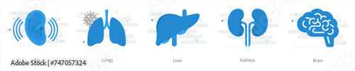 A set of 5 Mix icons as ear, lungs, liver