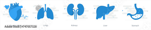 A set of 5 Mix icons as human heart, lungs, kidneys