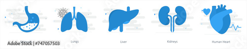A set of 5 Mix icons as stomach, lungs, liver