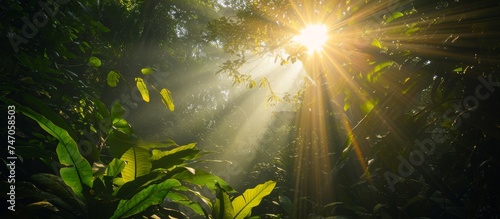 The sunlight filters through the dense jungle canopy, casting a warm glow on the lush plants and trees below.