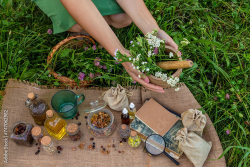 Fototapeta Naklejka Na Ścianę i Meble -  A woman collects medicinal herbs