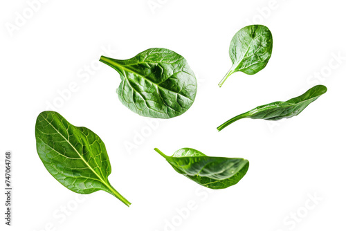 Spinach leaves float gracefully, highlighting the vibrant green color and delicate texture.