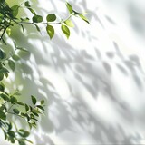 Blurred shadow from leaves plants on the white wall. Minimal abstract background for product presentation. Spring and summer