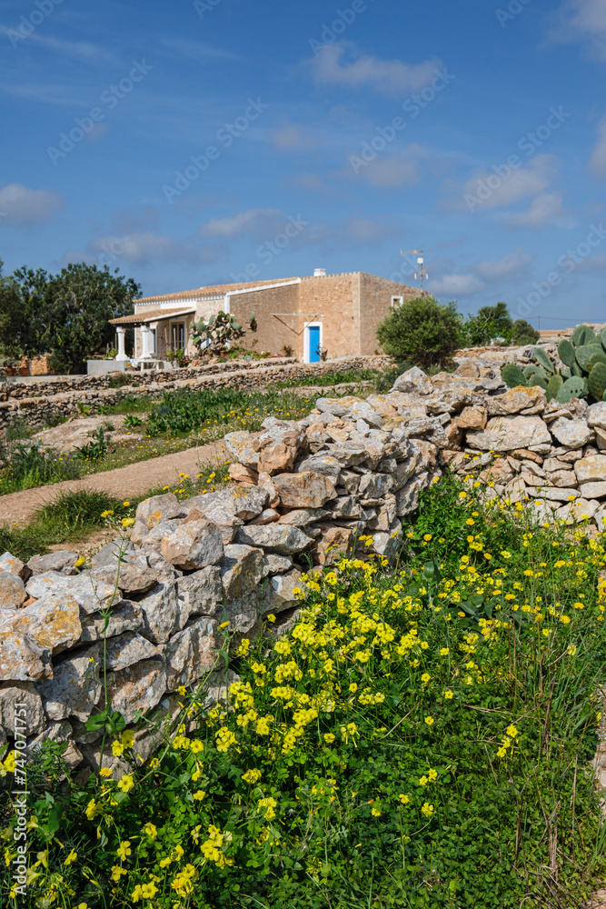 traditional stone walls, typical rural house, Formentera, Pitiusas Islands, Balearic Community, Spain traditional stone walls, typical rural house, Formentera, Pitiusas Islands, Balearic Community, Spain
