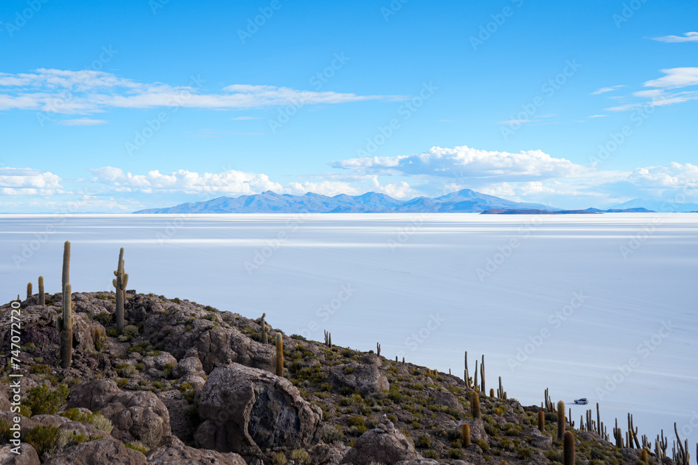 Wide Open Skies on the Salt Flats, Cacti in Foreground - Salar de Uyuni, Bolivia 