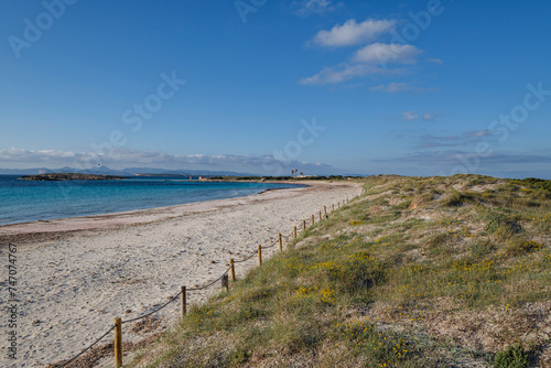 Illetes beach, riding a horse, Formentera, Pitiusas Islands, Balearic Community, Spain