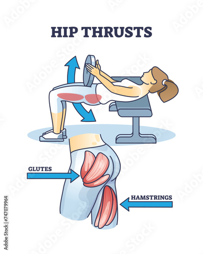 Hip thrusts workout for glutes and hamstrings muscle strength outline diagram. Labeled educational activity explanation for strong body and physical wellness vector illustration. Athlete gym training