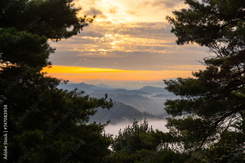 Nationalpark sächsische Schweiz Bilder aus dem Elbsandsteingebirge