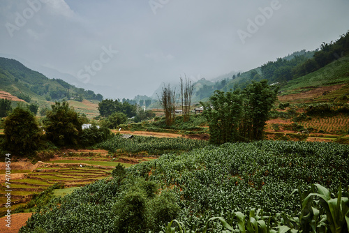 village rice fields in mountains in sapa, vietnam