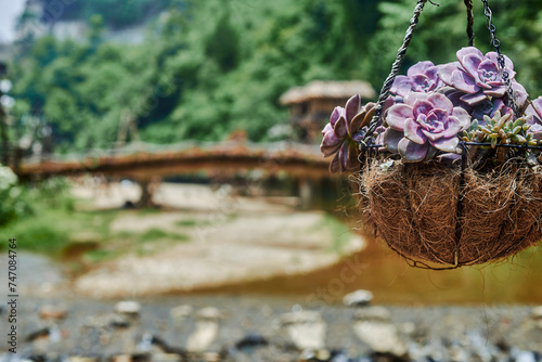 river and flowers in a traditional village in sapa, vietnam