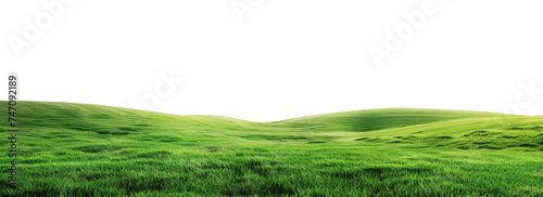 Obraz na płótnie green grass field isolated on transparent or white background for display products w salonie