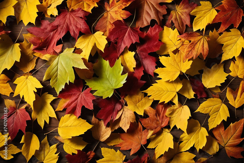 Autumn leaves background, top view