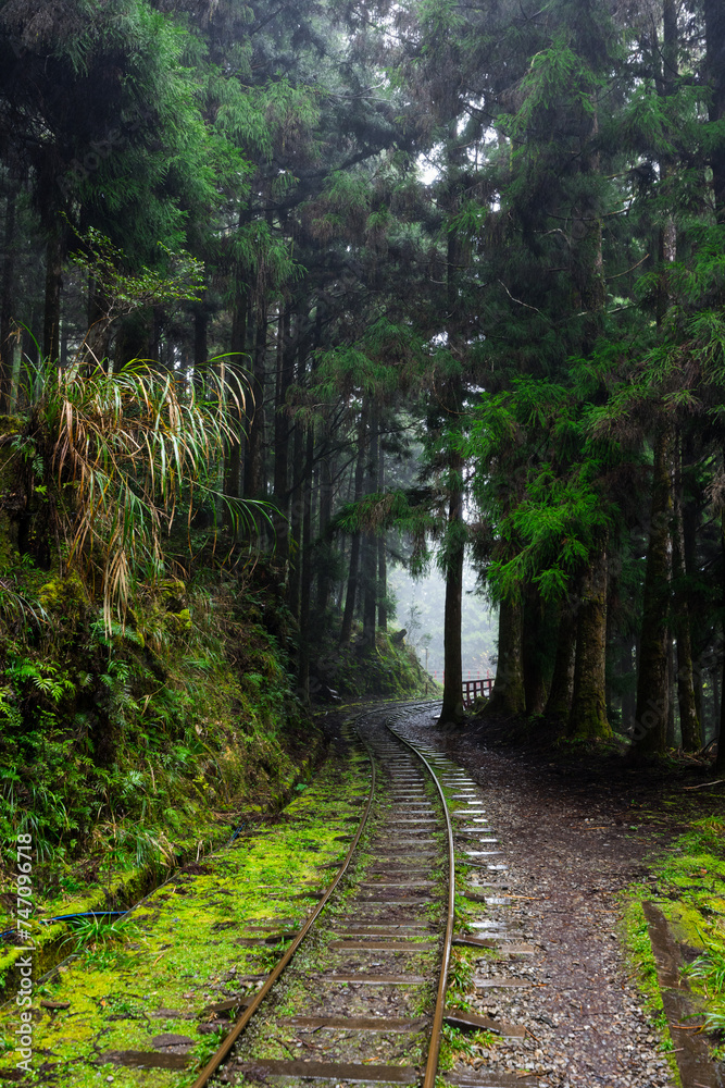 Fototapeta premium Abandon train track over the forest in Yilan Taipingshan