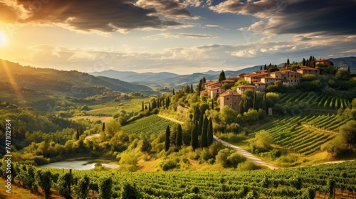 Scenic tuscan vineyard at sunset with grapevines, hills, and olive groves in golden light