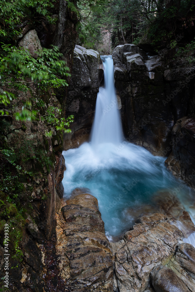 Obraz premium 美しい滝