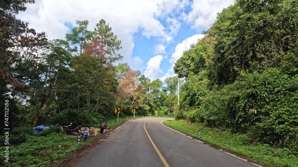 Scenic Road Through Lush Forest Scenic Road Through Lush Forest