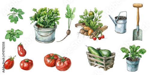 Set of watercolor vegetable growing equipment illustrations on white background