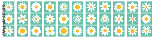 Daisy chamomile super big set. White camomile square icon. Growing concept. Cute round flower plant collection. Love card. 33 sign symbol shape. Flat design. Isolated. Green background. © worldofvector