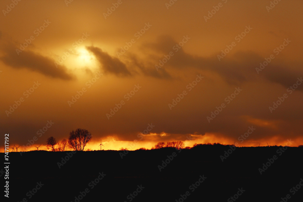 Dramatic sunset with trees and windmills on the horizont