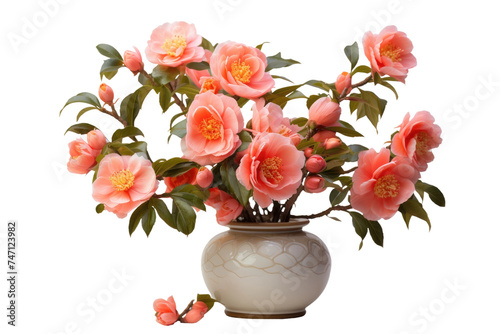 Vase Filled With Pink Flowers. A clear glass vase is filled to the brim with a variety of soft pink flowers. The delicate petals sway gently in the breeze. Isolated on a Transparent Background PNG.