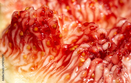Closeup macro shot of fig seeds (concept of human cells) photo