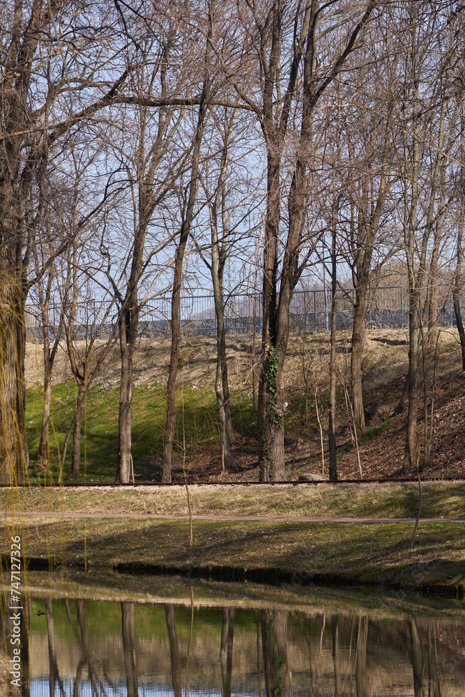 Naklejka premium Urban landscape with trees and water