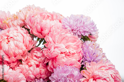 pink flowers in the vase